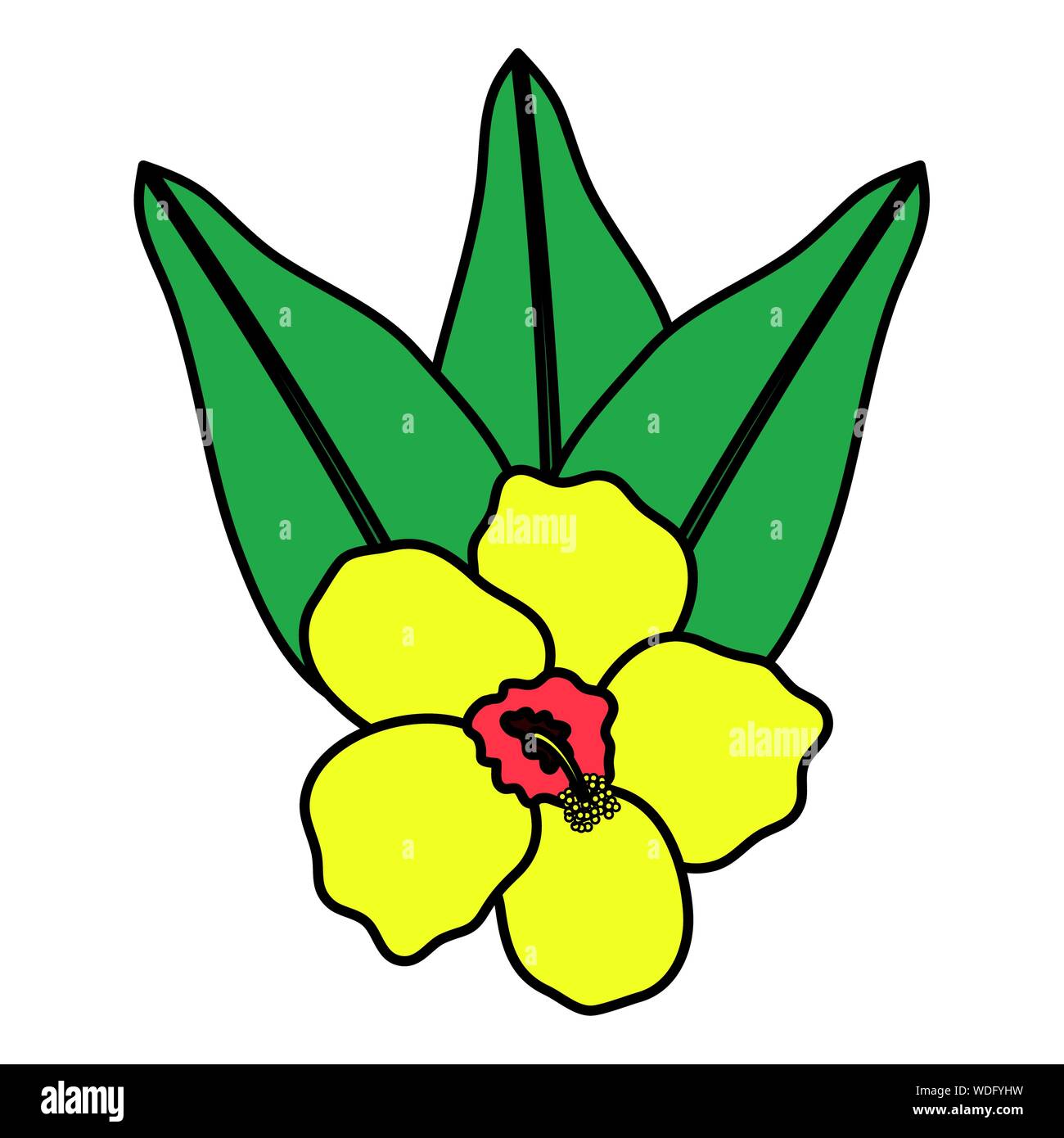 exotic and tropical flower with leafs garden vector illustration design ...