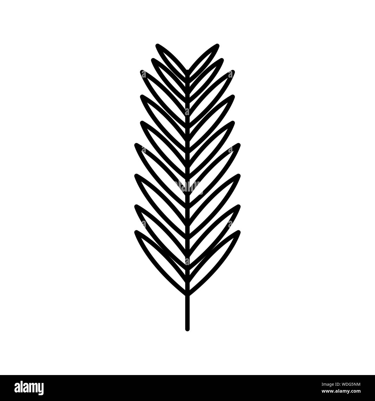 exotic and tropical leaf plant vector illustration design Stock Vector ...
