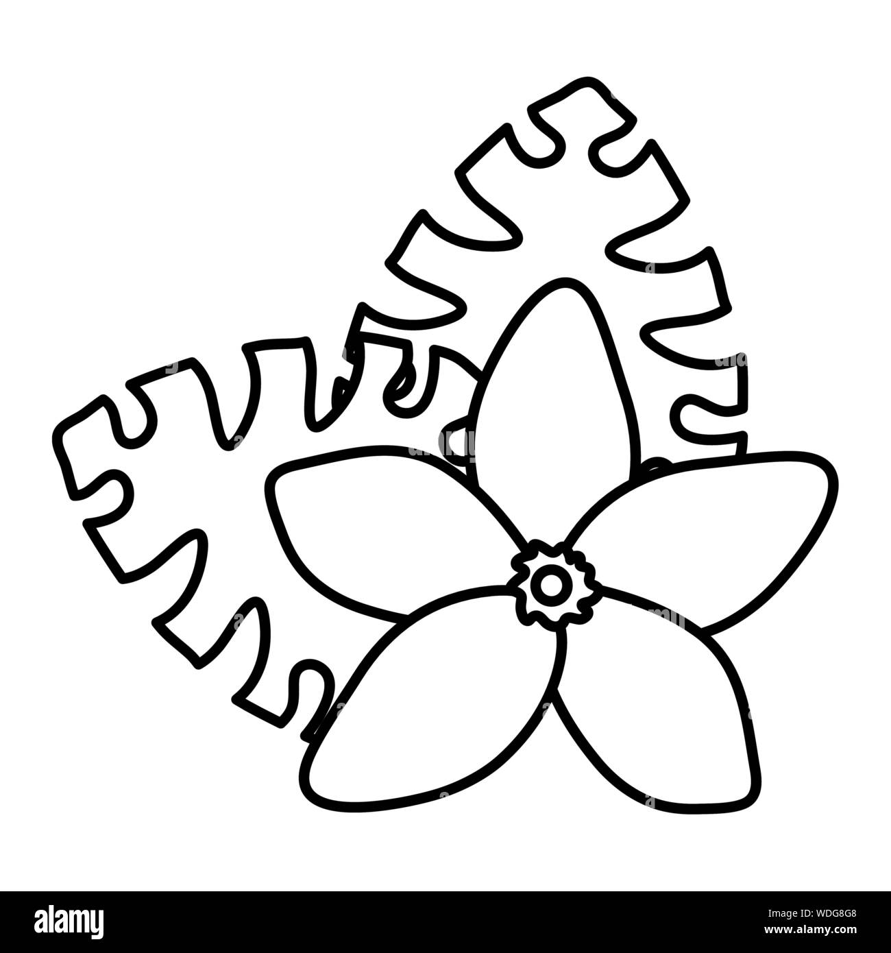 exotic and tropical flower with leafs garden vector illustration design ...