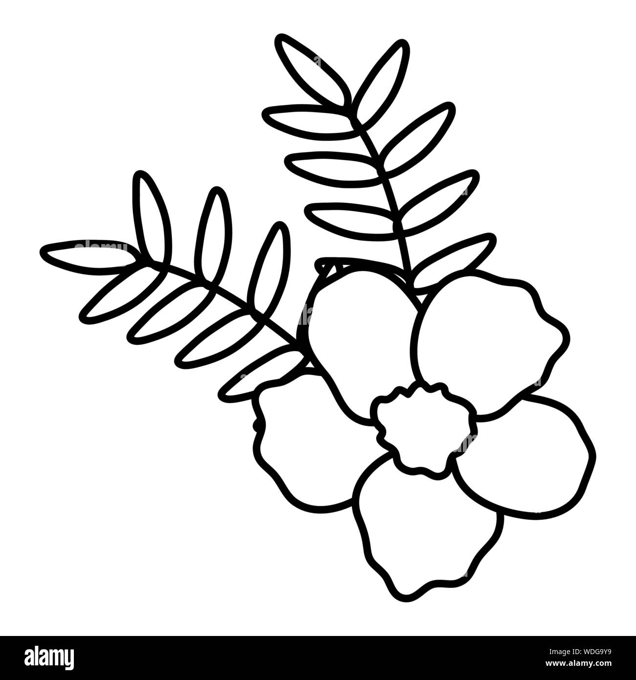 exotic and tropical flower with leafs garden vector illustration design ...