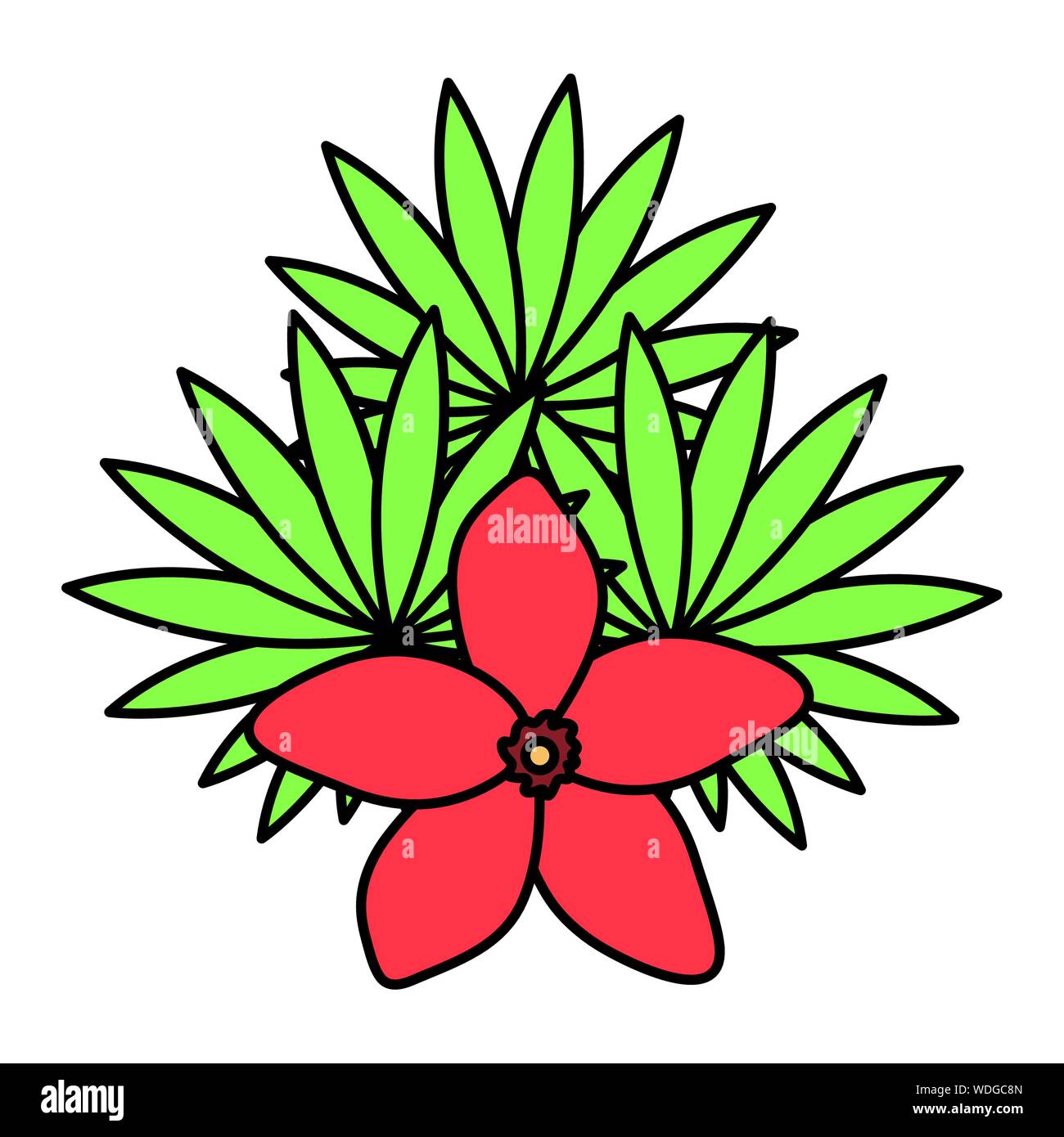 exotic and tropical flower with leafs garden vector illustration design ...