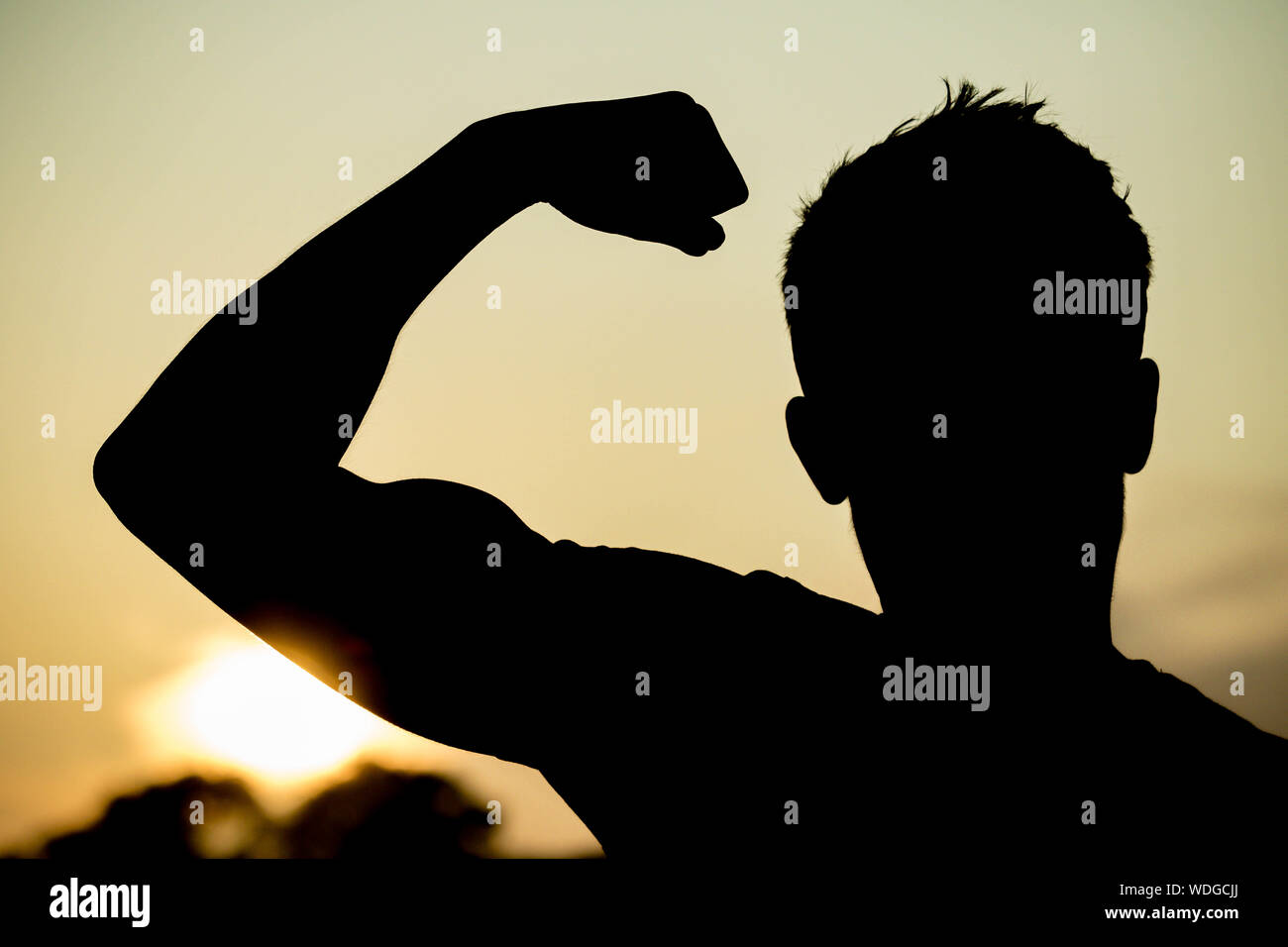 Young male adult portrait at golden hour on a beach in Silhouette Stock Photo
