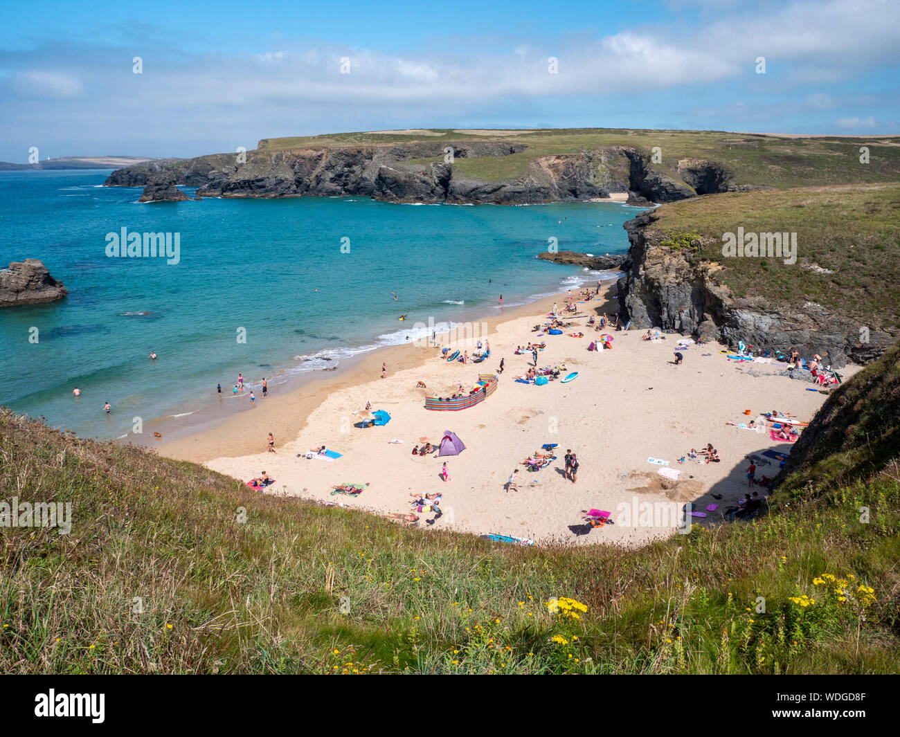The beach at Porthcothan Bay, on the north Cornwall coast, Cornwall UK on a busy summer day. Stock Photo