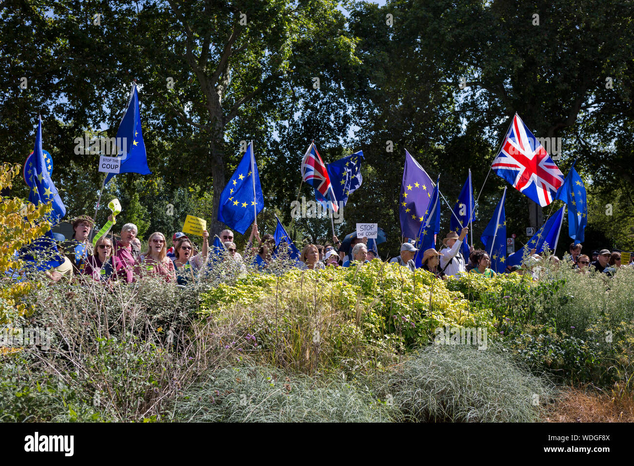 A day after British Prime Minister Boris Johnson successfully asked the Queen to suspend (prorogue) Parliament in order to manoeuvre his Brexit deal with the EU in Brussels, Remain protesters stand with flags and banners while lunchtime TV interviews are filmed by broadcasters on College Green, on 29th August 2019, in Westminster, London, England. Stock Photo