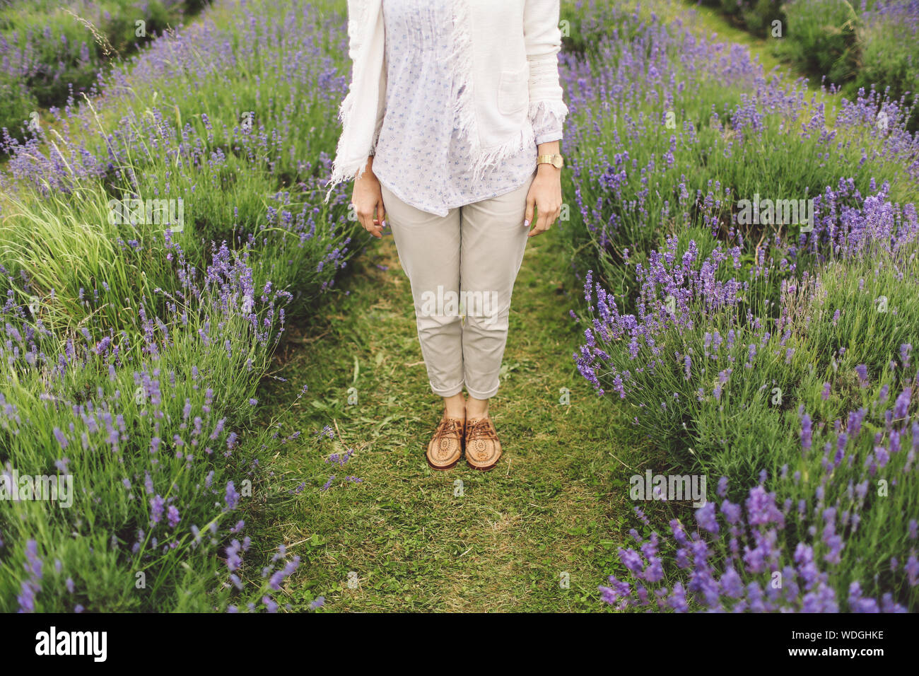 Low Section Of Woman Standing Between Lavender Rows Stock Photo