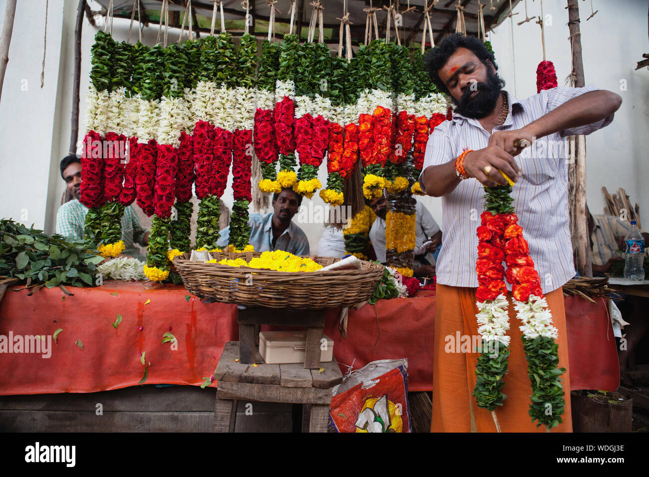 India, Andhra Pradesh, Tirupati, Flower vendor making garlands Stock