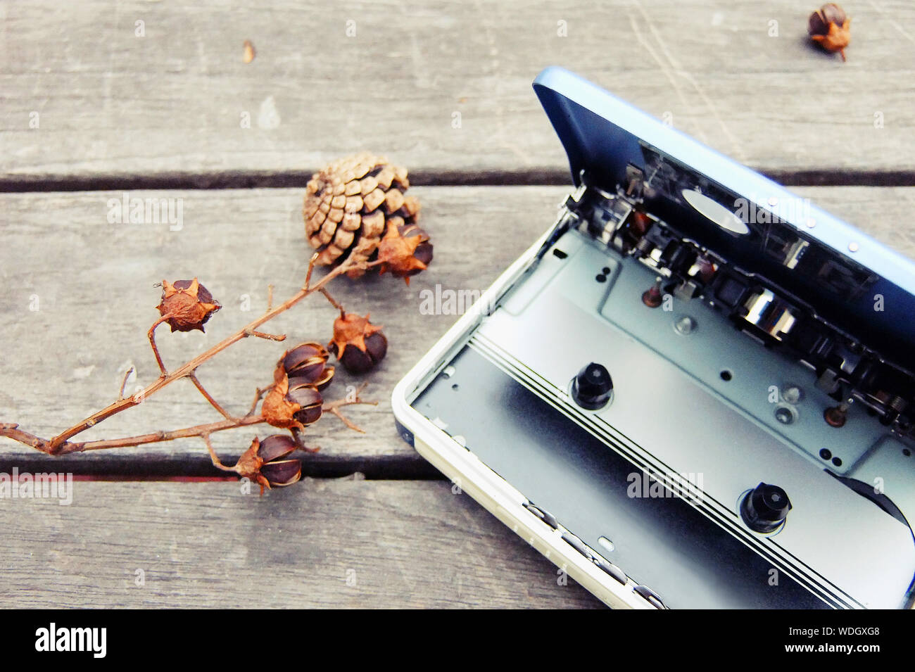 Close-up Of Personal Cassette Player With Plant On Wooden Table Stock Photo