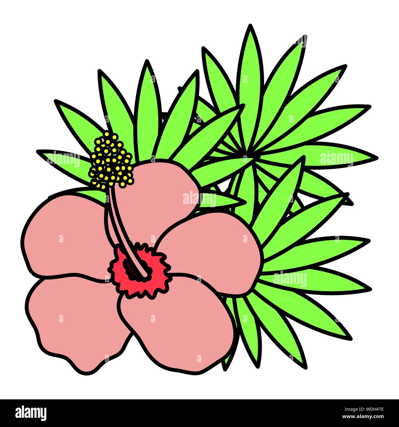 exotic and tropical flower with leafs garden vector illustration design ...