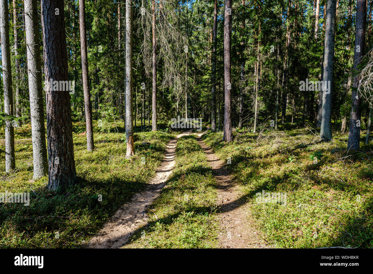 Gravel Walk High Resolution Stock Photography and Images - Alamy