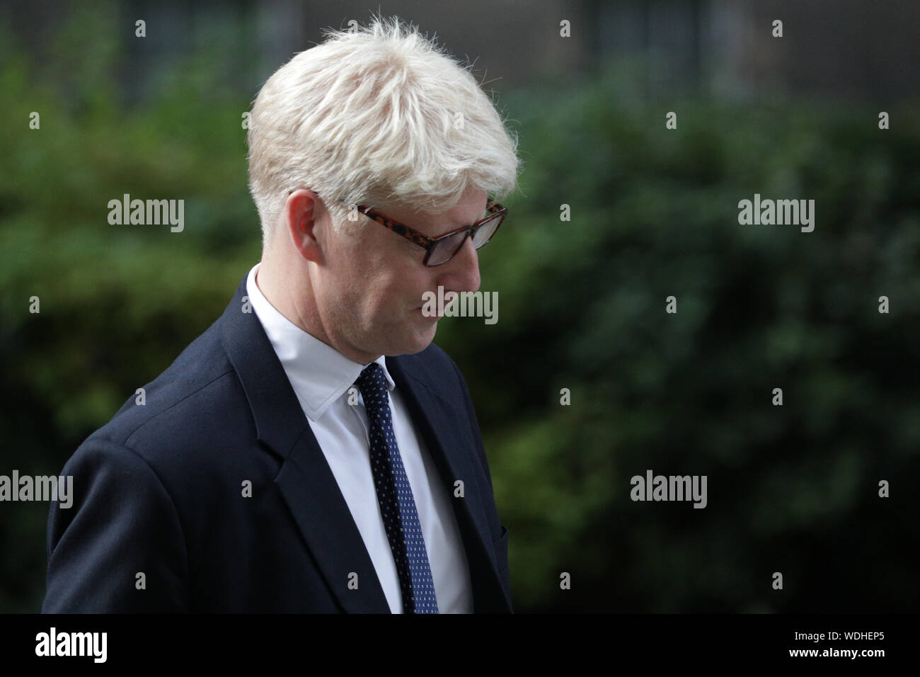 Westminster, London, UK. 29th Aug, 2019. Jo Johnson, Minister for Universities and Science and PM Boris Johnson's brother, enters No 10 Downing Street this evening. Credit: Imageplotter/Alamy Live News Stock Photo