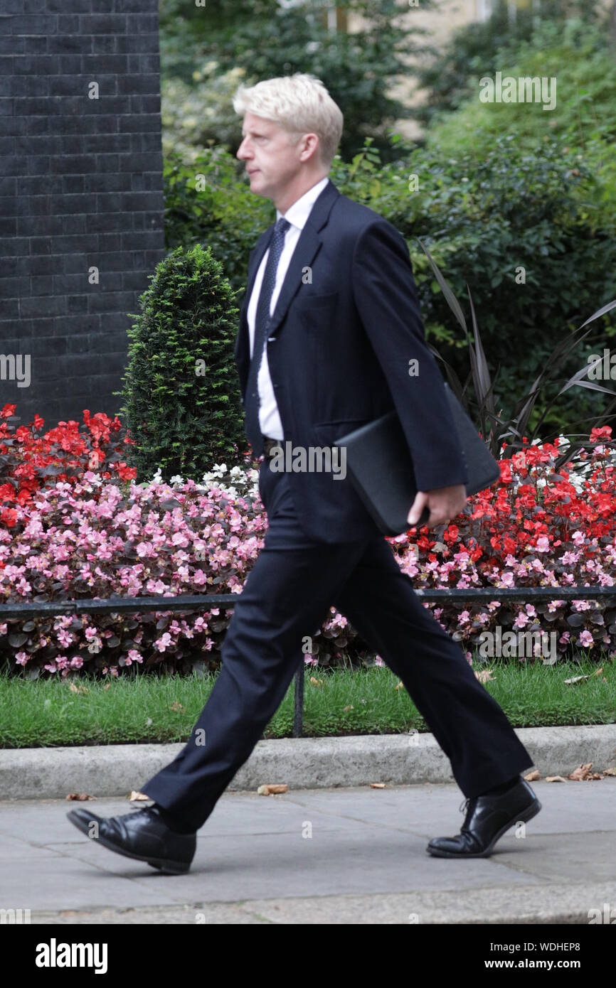 Westminster, London, UK. 29th Aug, 2019. Jo Johnson, Minister for Universities and Science and PM Boris Johnson's brother, enters No 10 Downing Street this evening. Credit: Imageplotter/Alamy Live News Stock Photo