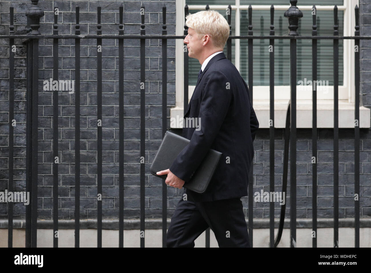 Westminster, London, UK. 29th Aug, 2019. Jo Johnson, Minister for Universities and Science and PM Boris Johnson's brother, enters No 10 Downing Street this evening. Credit: Imageplotter/Alamy Live News Stock Photo
