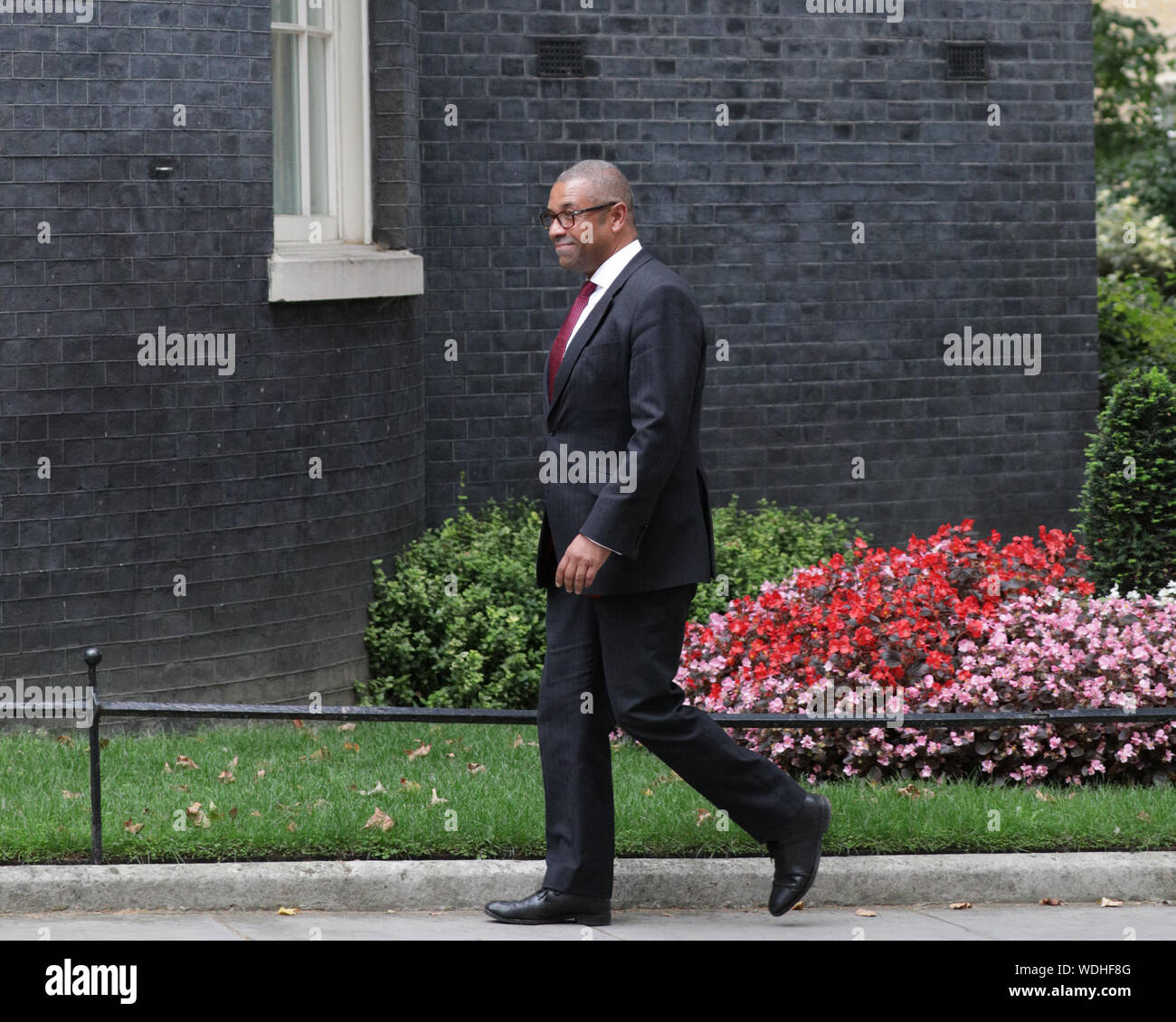 Westminster, London, UK. 29th Aug, 2019. James Cleverly, Conservative Party Chairman, enters No 10 Downing Street this evening. Credit: Imageplotter/Alamy Live News Stock Photo