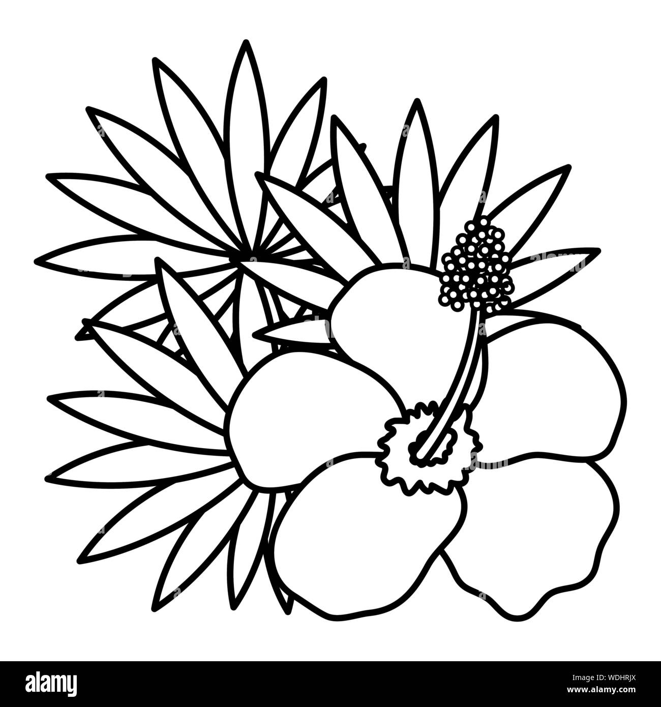 exotic and tropical flower with leafs garden vector illustration design ...