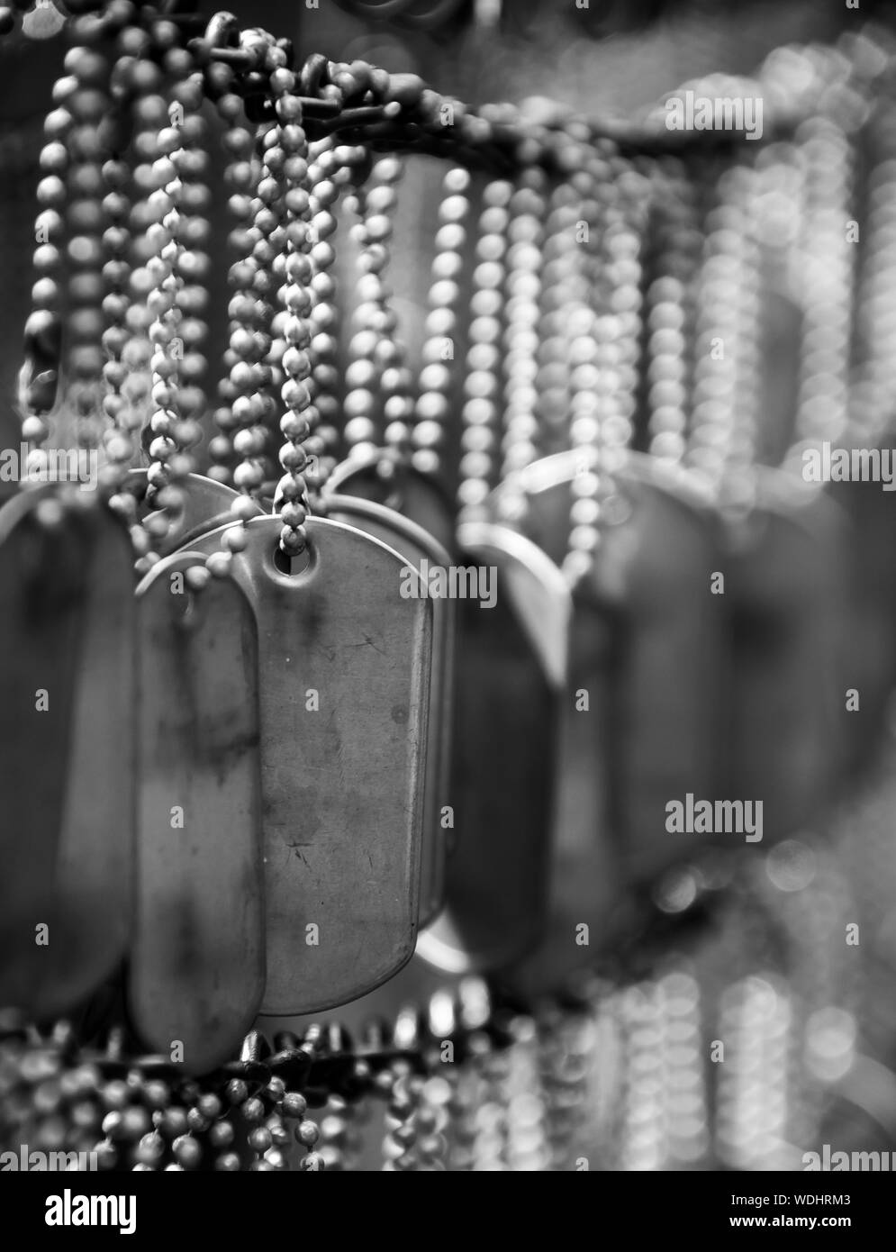 Hanging dog tags hires stock photography and images Alamy