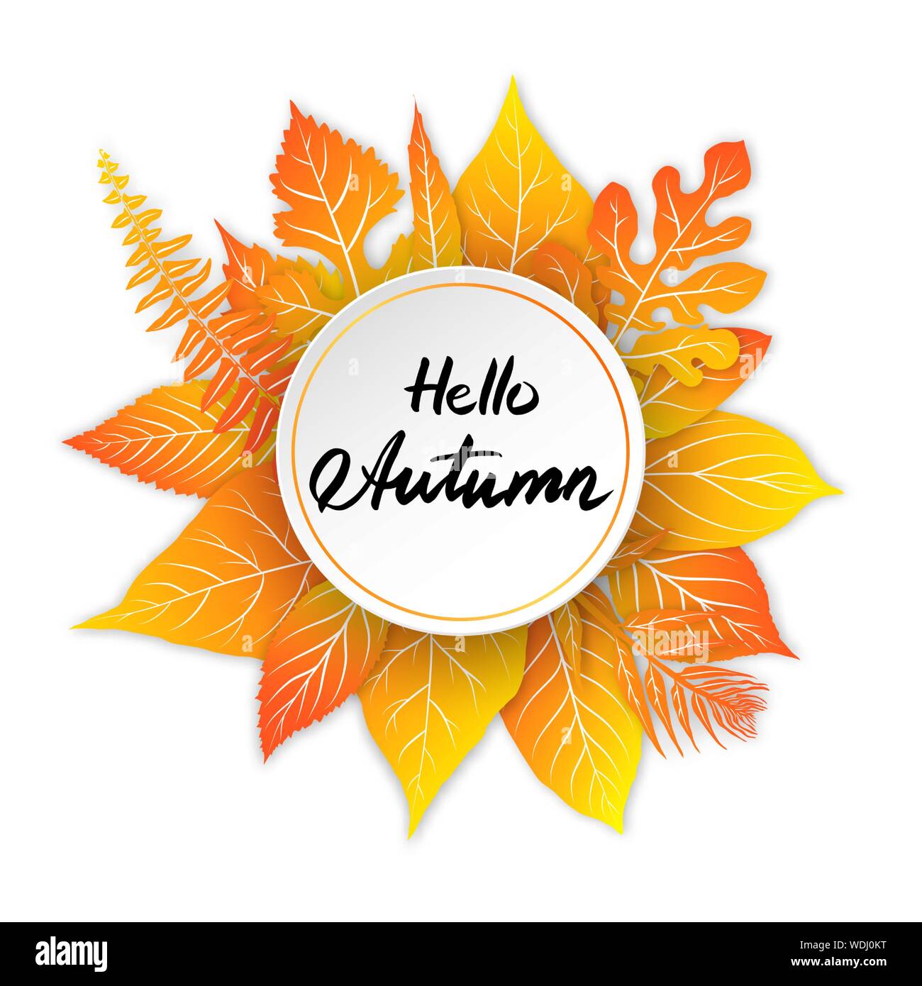 Colorful autumn leaves frame on white background. Vector illustration ...