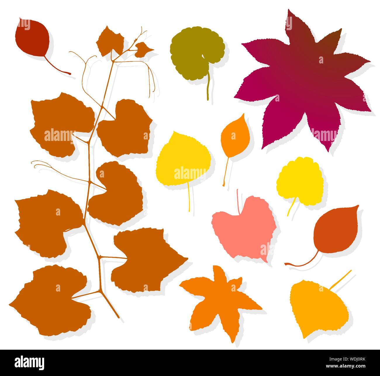 Colorful autumn leaves set on white background. Vector illustration ...
