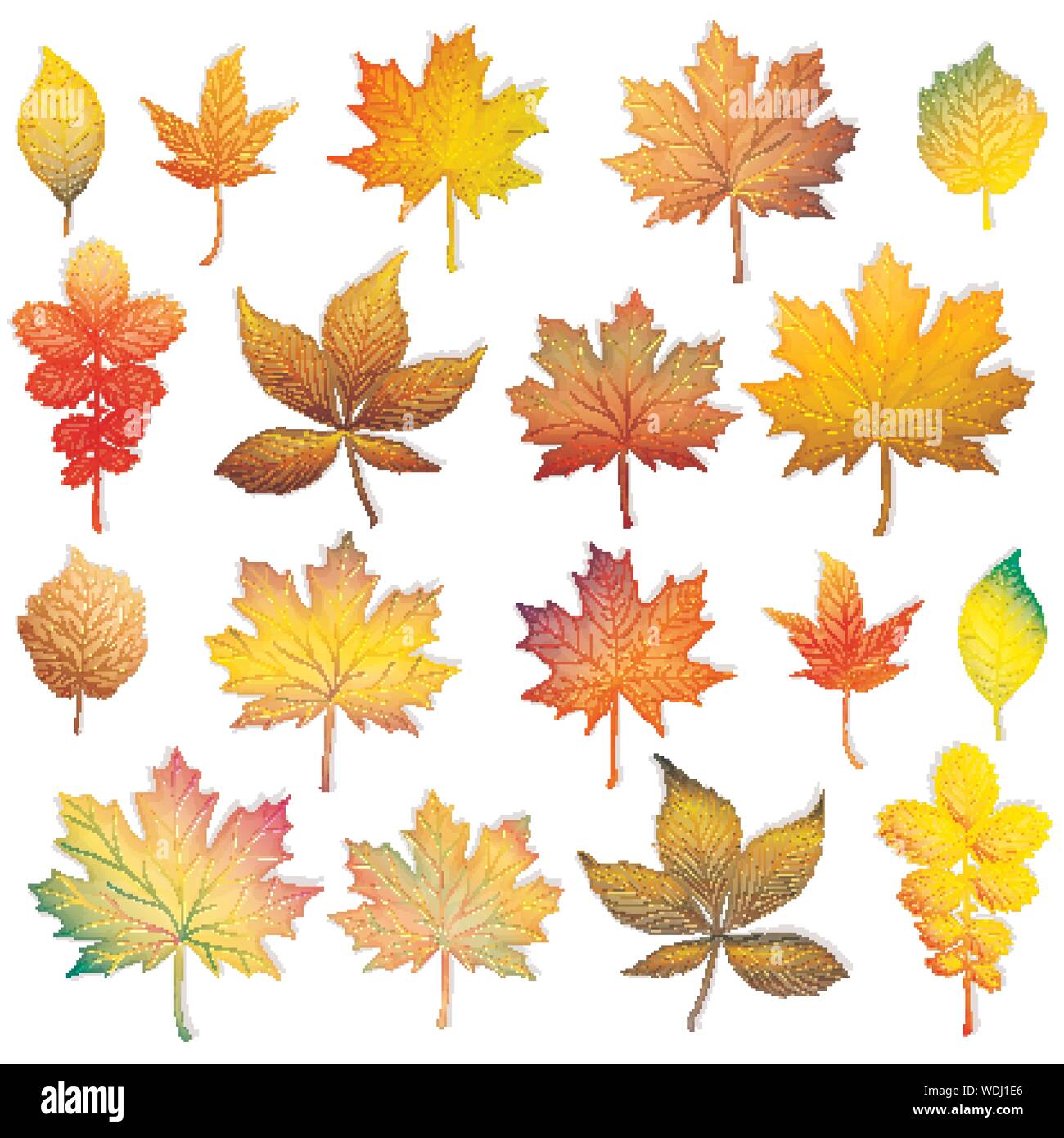 Colorful Autumn Leaves Set On White Background Vector Stock Vector Image Art Alamy