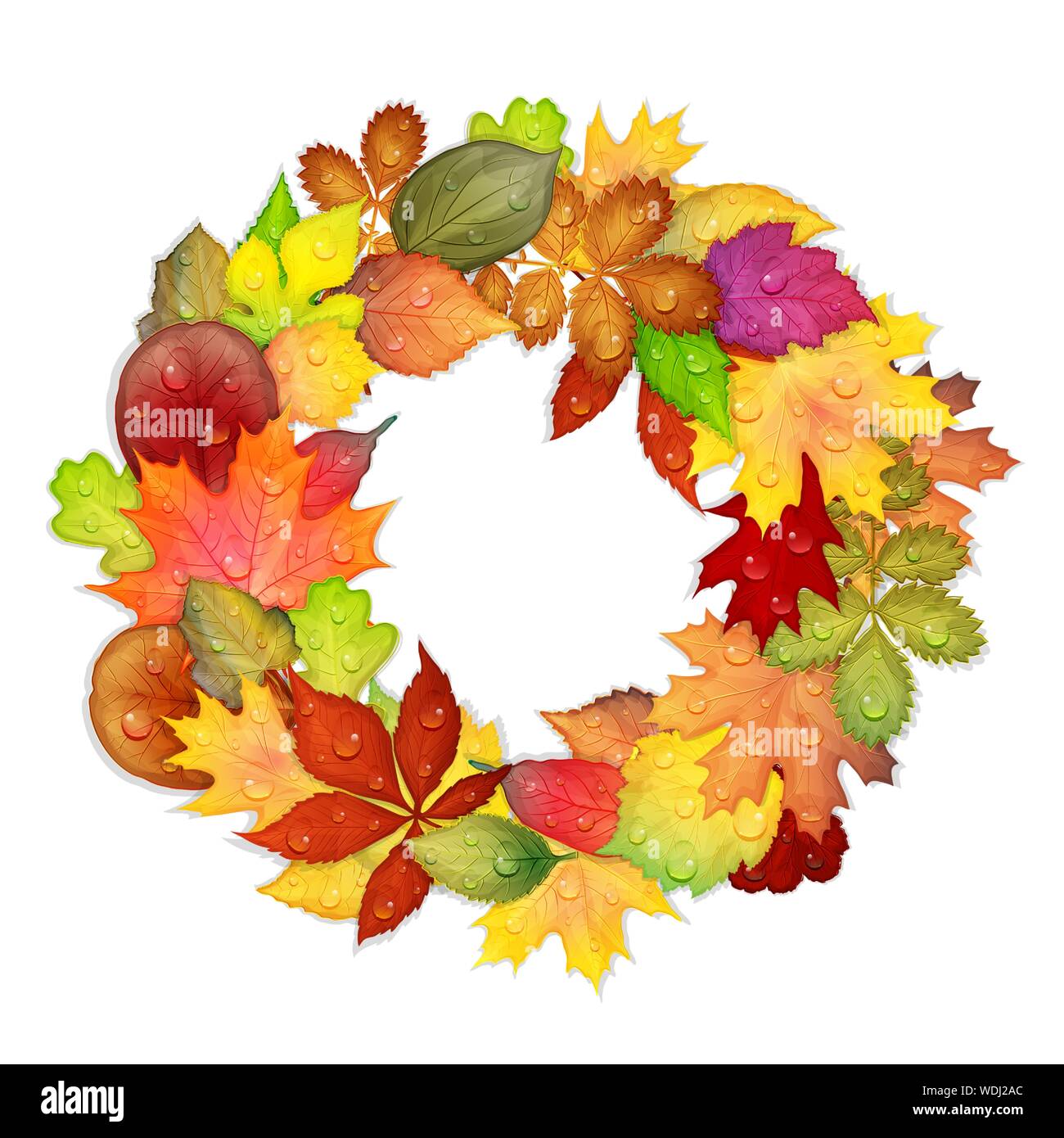 Colorful autumn leaves frame isolated on white background. Vector ...