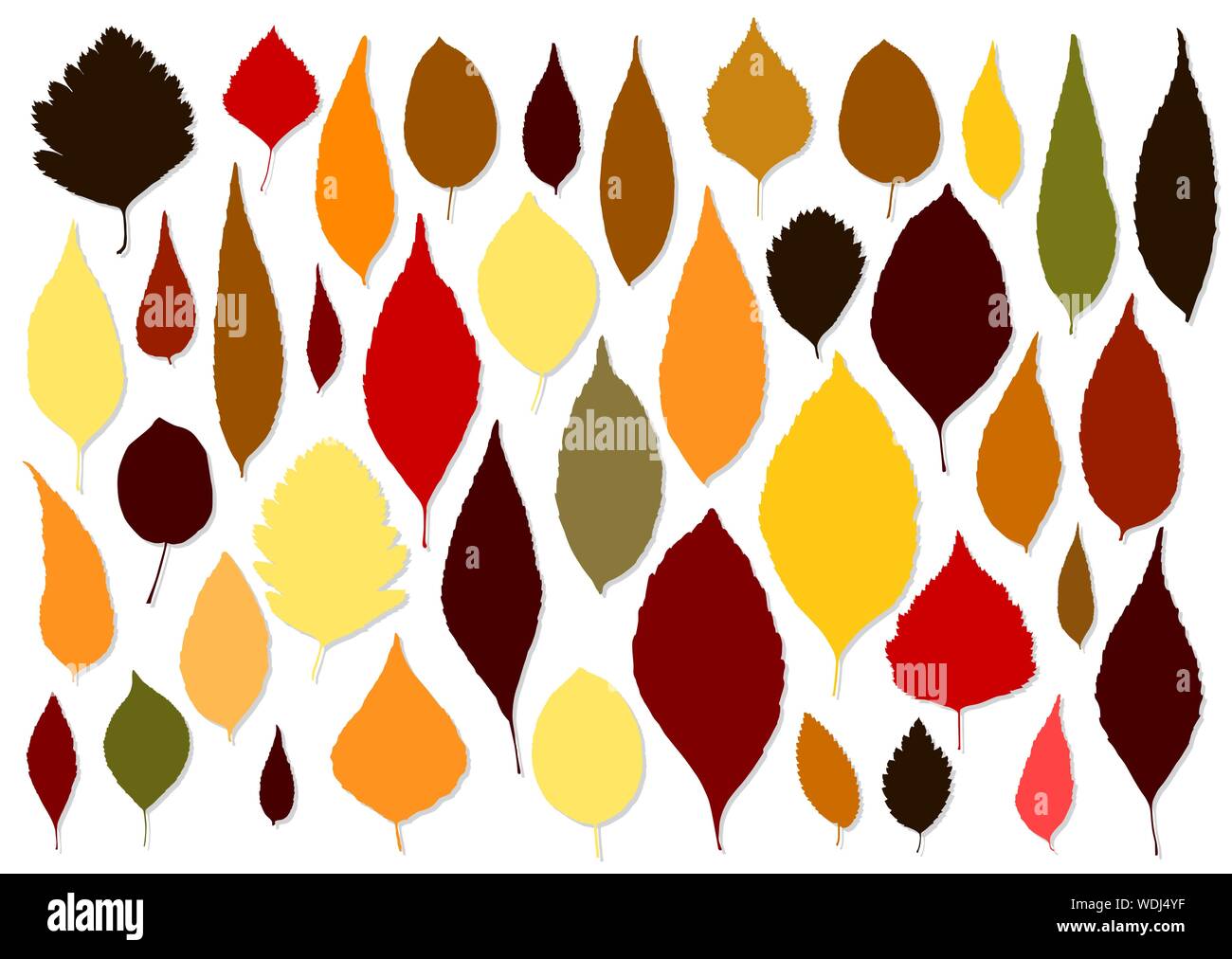 Colorful autumn leaves set on white background vector Stock Vector ...