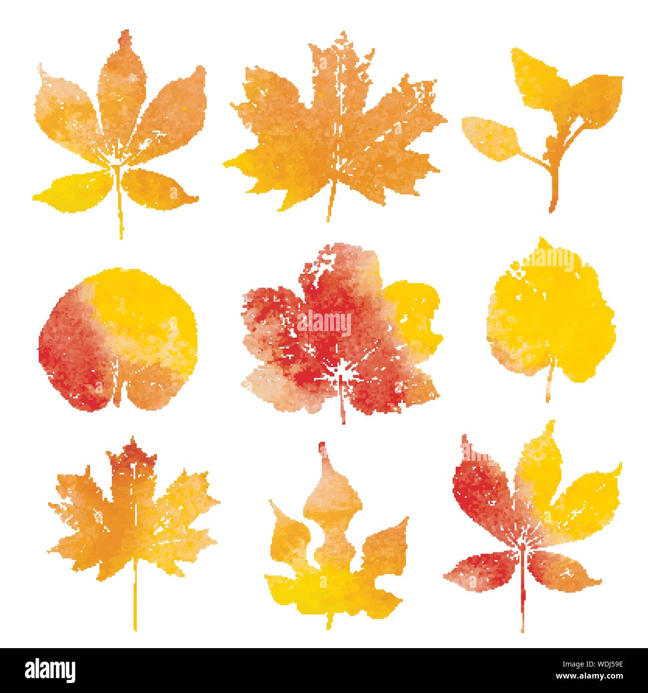 Autumn watercolor leaves imprints isolated on white background vector ...