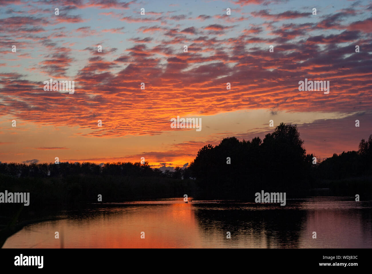 Altocumulus clouds over a lake are beautifully colored by the orange and purple light of the setting sun Stock Photo