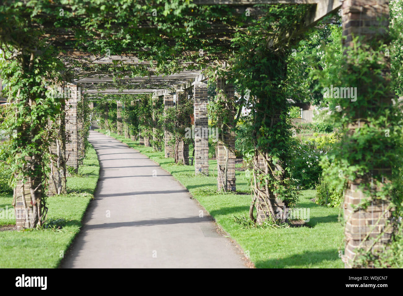 Path In A Botanical Garden With Special Pillars And Beams For