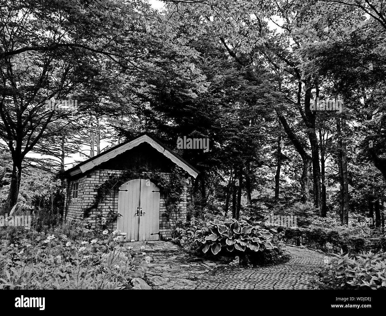 Forest house Black and White Stock Photos & Images - Page 2 - Alamy