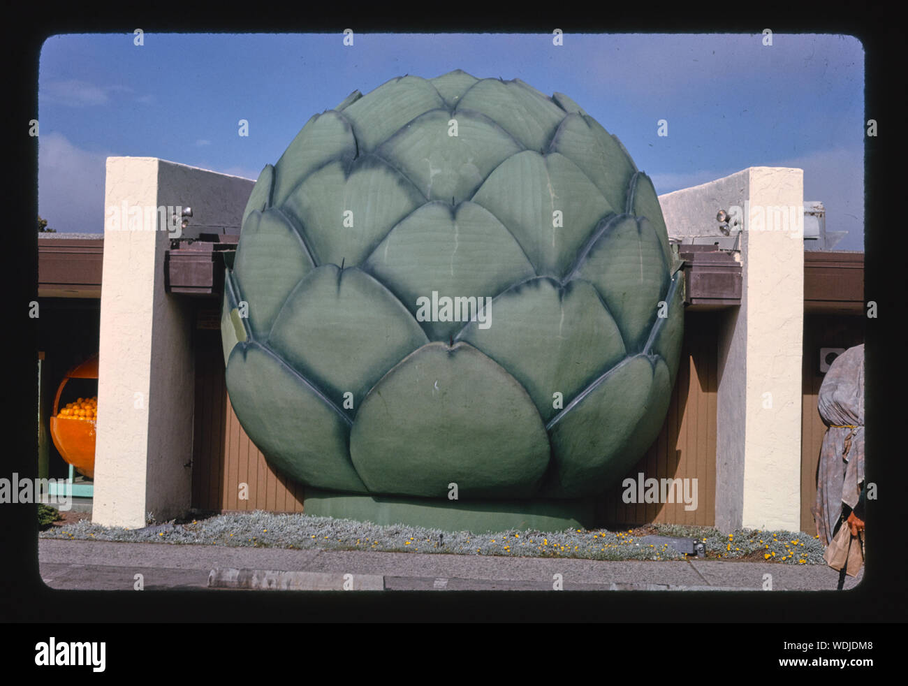 Giant artichoke, Castroville, California Stock Photo Alamy