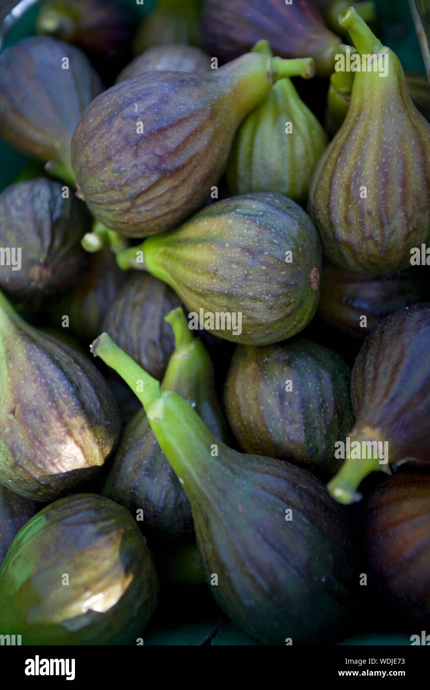 An assortment of figs Stock Photo Alamy