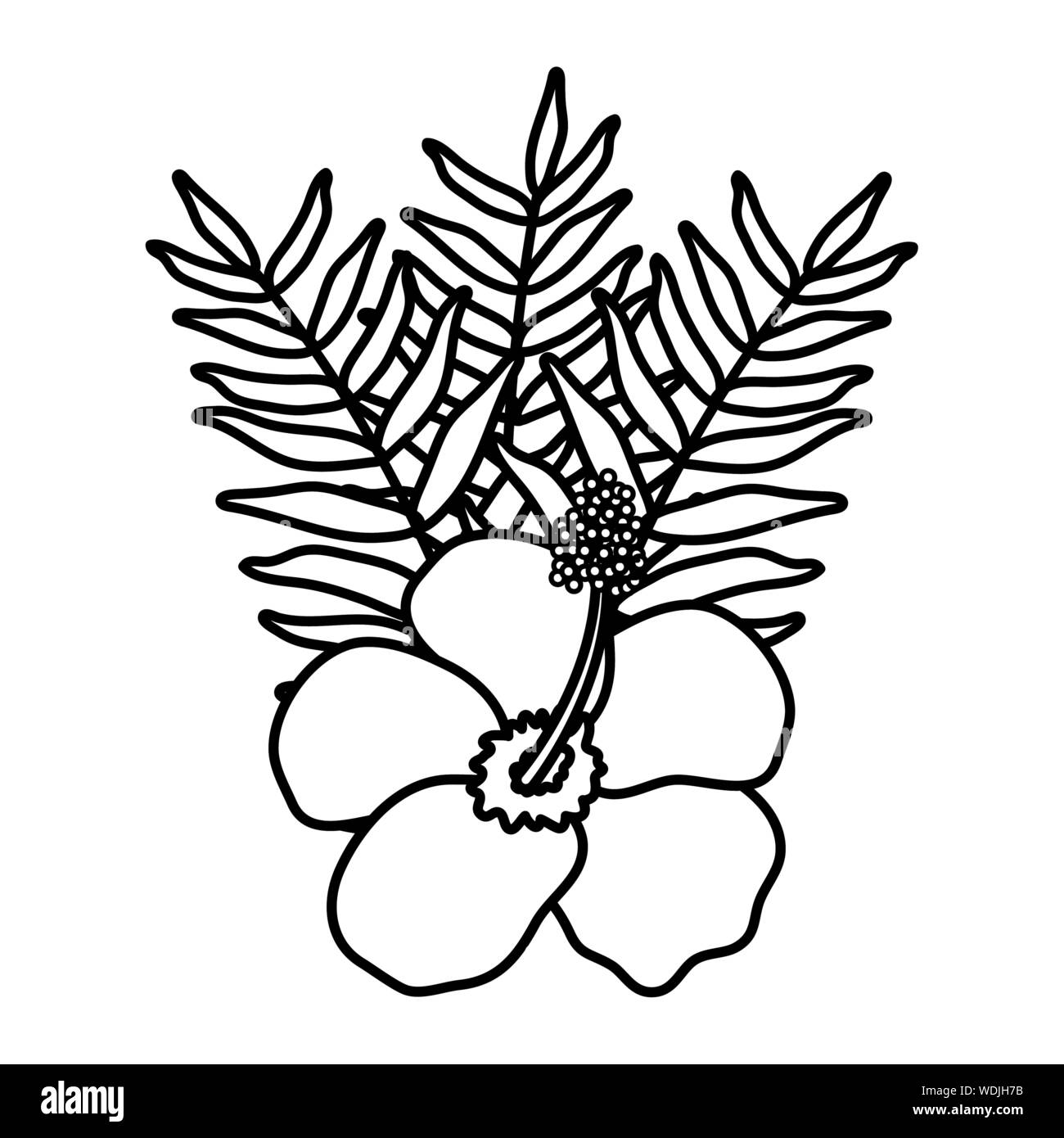 exotic and tropical flower with leafs garden vector illustration design ...