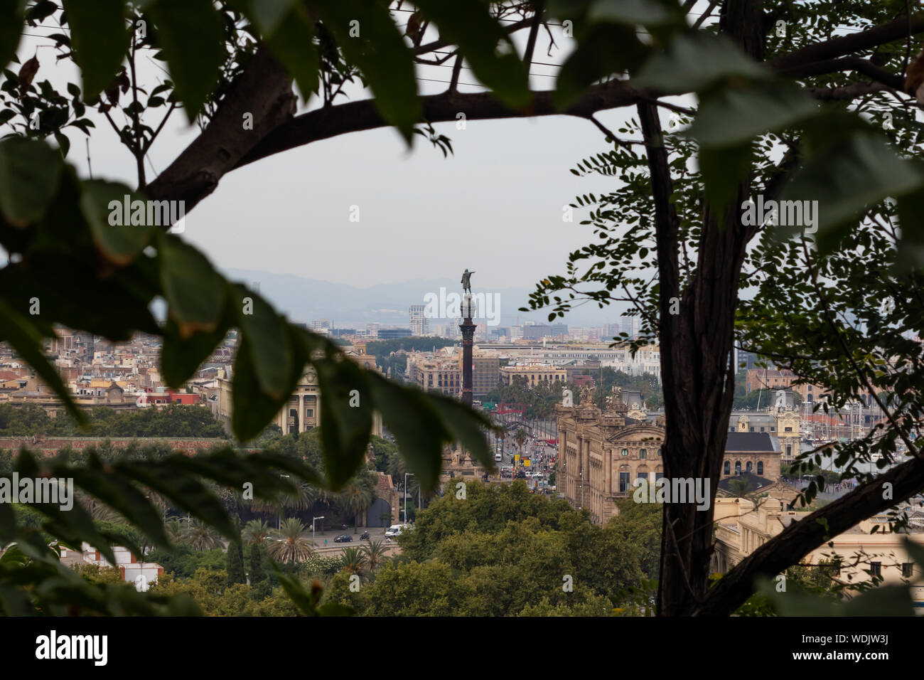 Barcelona's Christopher Columbus statue and Drassanes square seen between some trees. Stock Photo