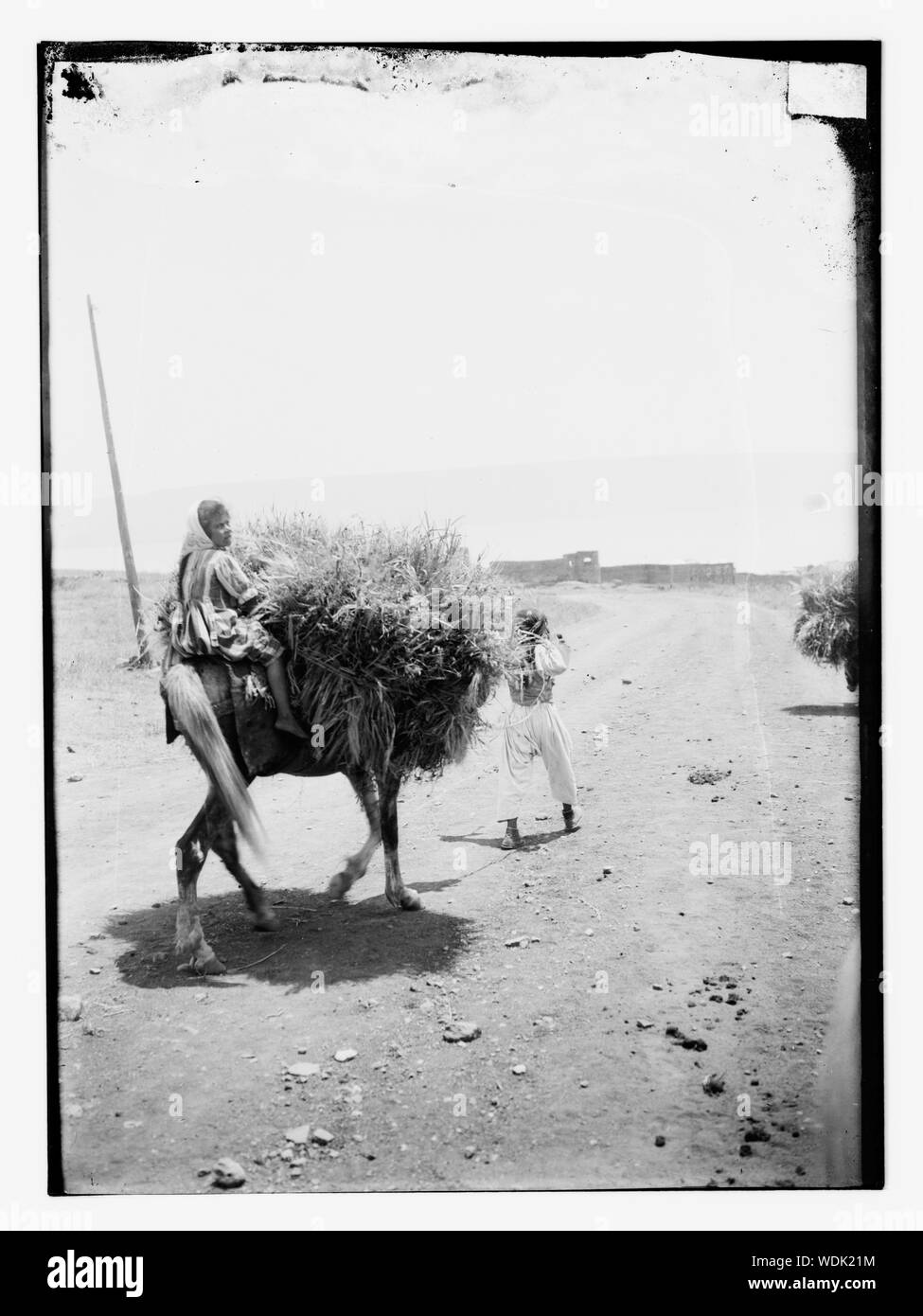Girl riding a horse? which is also carrying a bundle of vegetation Abstract/medium: G. Eric and Edith Matson Photograph Collection Stock Photo