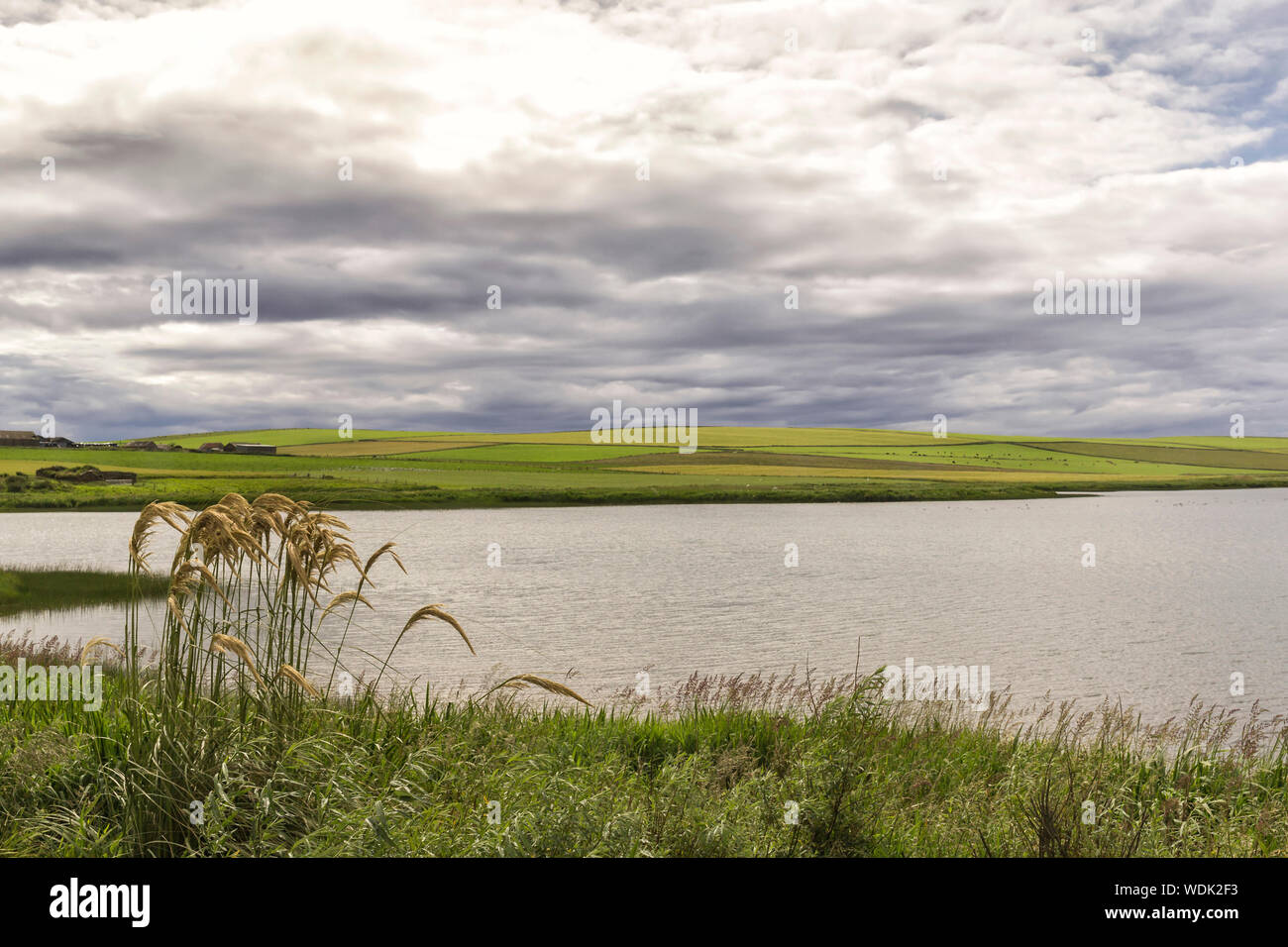 Typical landscape in the Orkney islands, Orkney, Scotland, Highlands Stock Photo