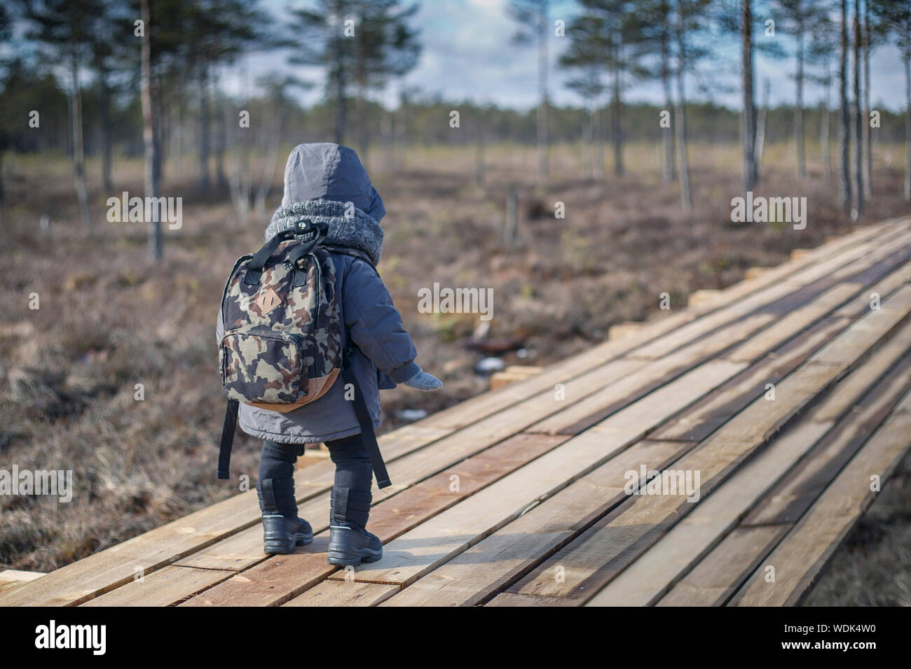 Little boy go hiking with backpack on the forest on a cold day Stock Photo