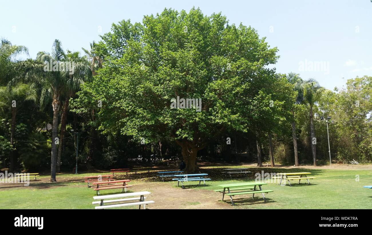 Empty Picnic Tables In Park At Hamat Gader Stock Photo Alamy