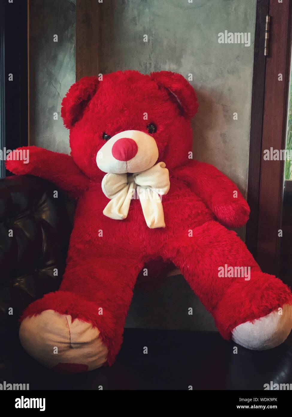teddy bear at home