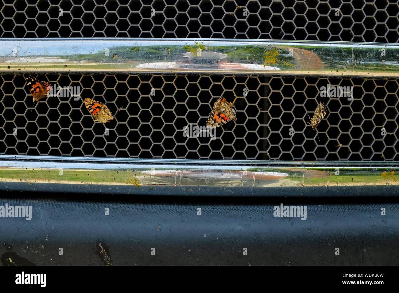 Safety bumper hi-res stock photography and images - Alamy