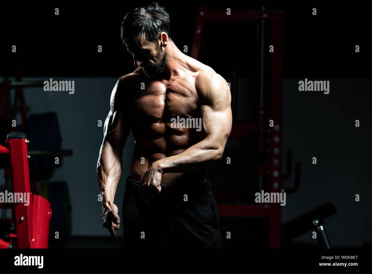 Middle Bodybuilder Middle Age Man Standing Strong In The Gym And Flexing Muscles ...