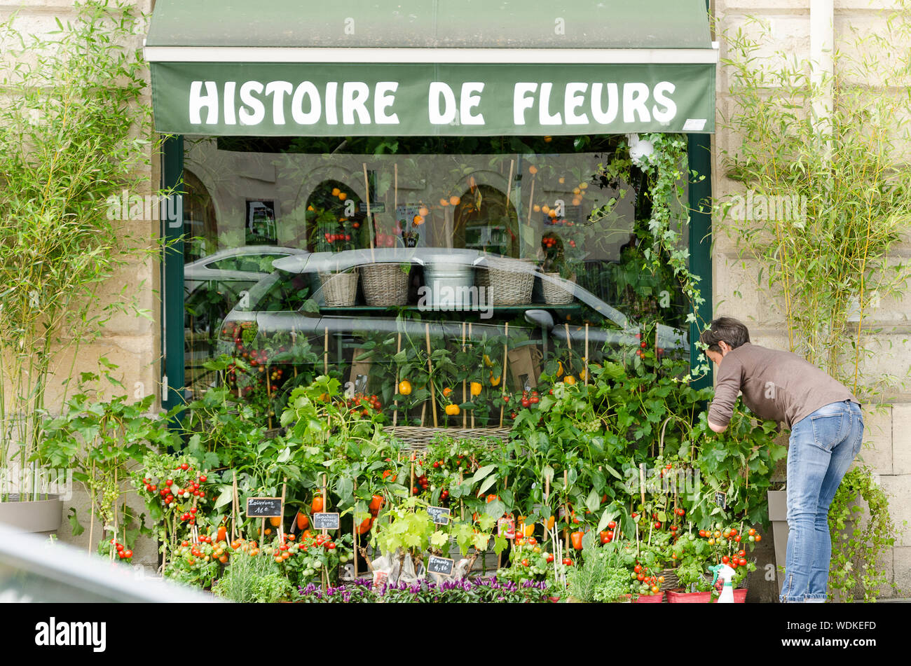 'History of flowers' Bordeaux florist. September 2013. France Stock Photo