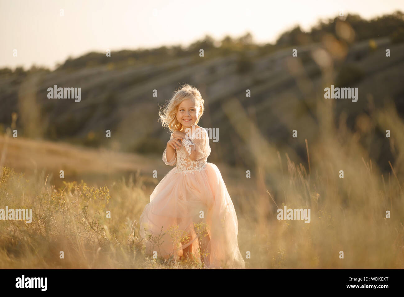 Portrait of a beautiful little princess girl in a pink dress. Posing in ...