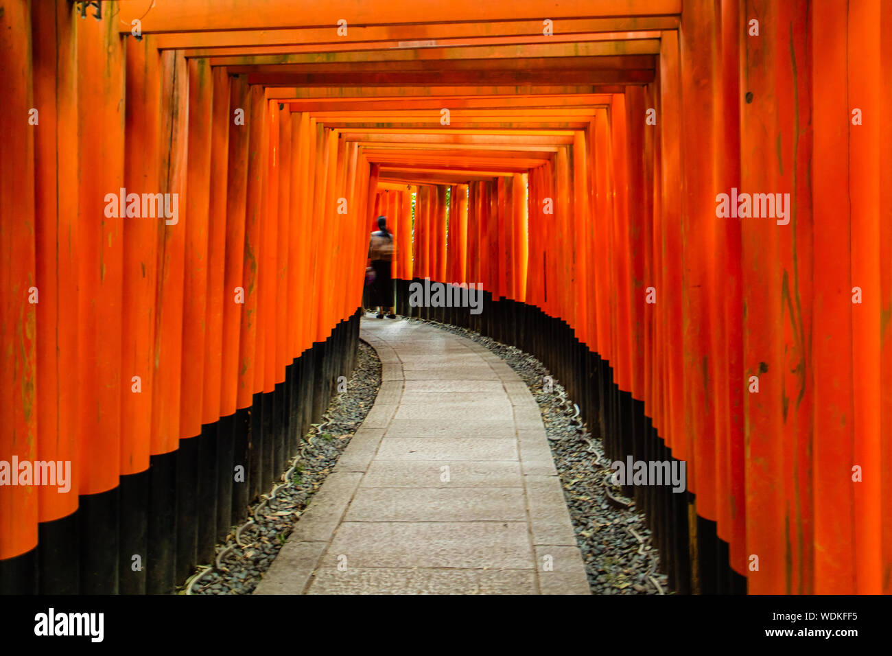 Senbon Torii gate-covered hiking path at Fushimi Inari Shrine ( Fushimi Inari Taisha) in Kyoto, Japan Stock Photo