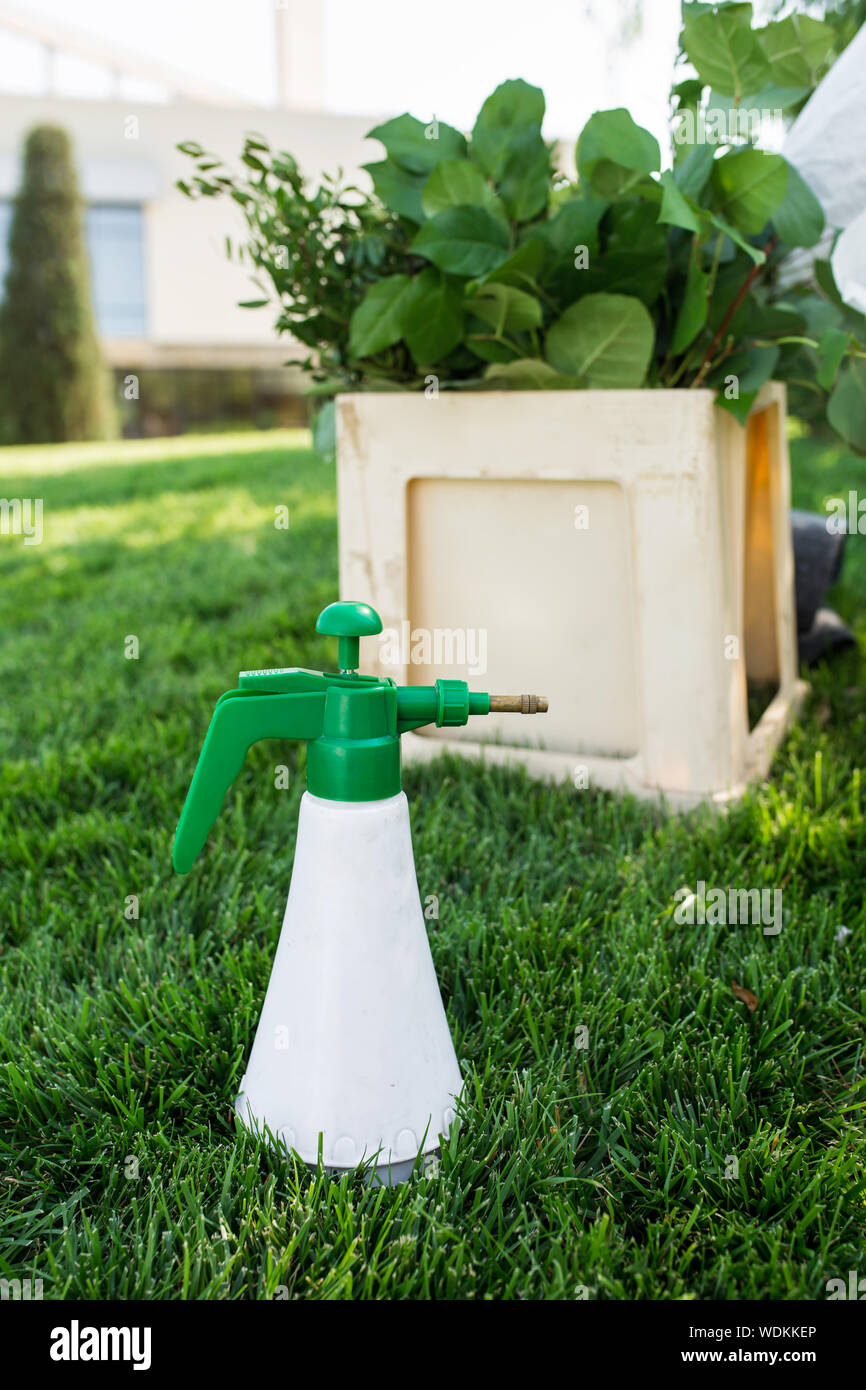 Professional tool florist spray for flowers. Spray a bottle of green