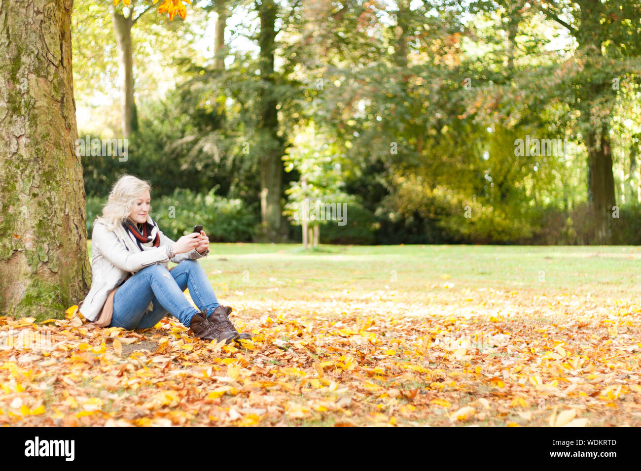 Woman Using Phone While Sitting On Fallen Autumn Leaves At Park Stock Photo