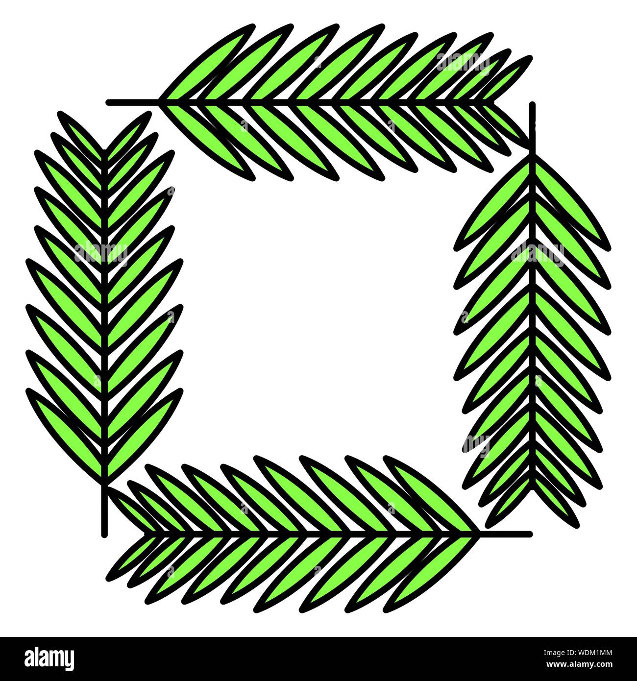 exotic and tropical leafs plants square frame vector illustration ...