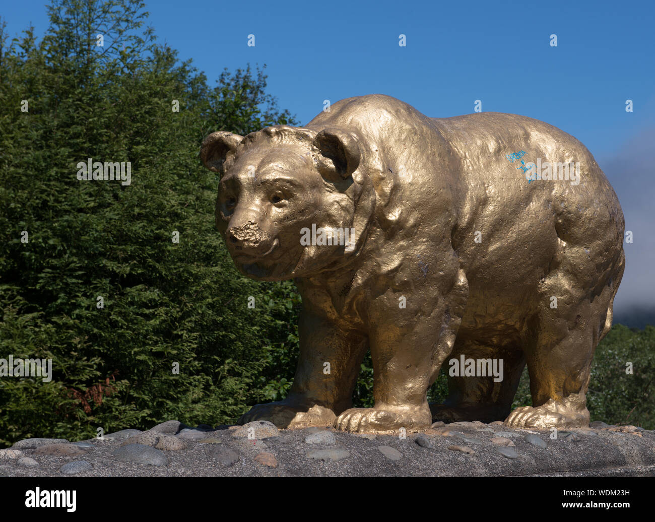 Golden Bear statue in Northern California Stock Photo