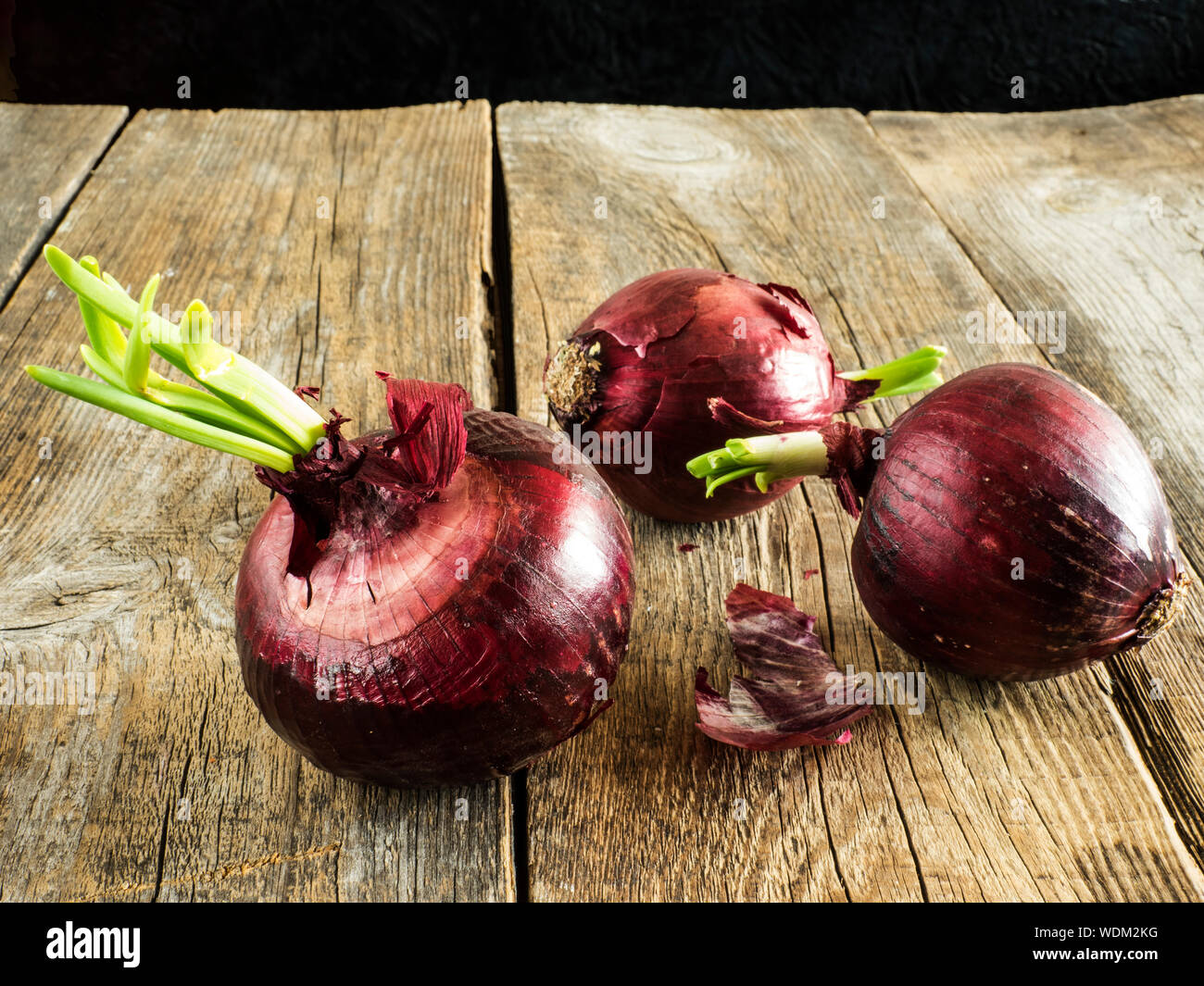 Close-up Of Sprouted Onion On Wooden Table Stock Photo
