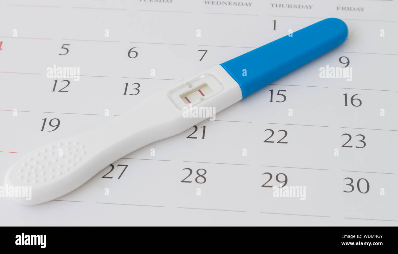 Close-up Of Pregnancy Test Equipment On Calendar Stock Photo