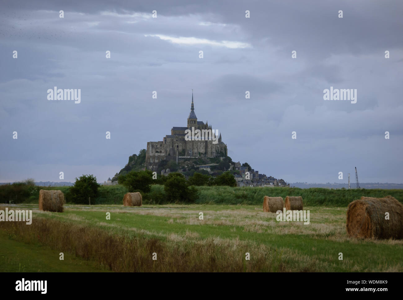 The Mont Saint Michel from the field. Stock Photo