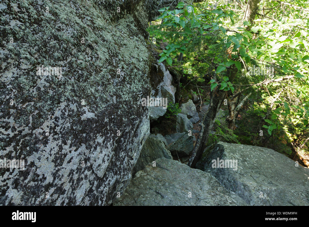 Hiker ascending the Six Husbands Trail in Thompson and Meserve's